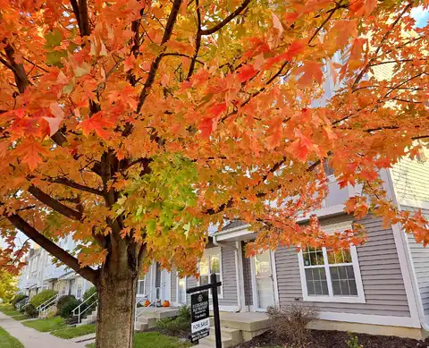 Discovery, MADISON, WI 53719