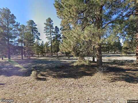 Burris, FLAGSTAFF, AZ 86004