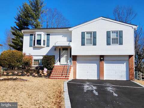 Beech, NEWTOWN, PA 18940