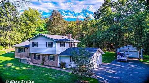 Mountain, SLATINGTON, PA 18080
