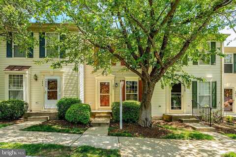 Tiger Lily, WOODBRIDGE, VA 22192