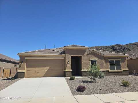 Black Dalea, MARANA, AZ 85653