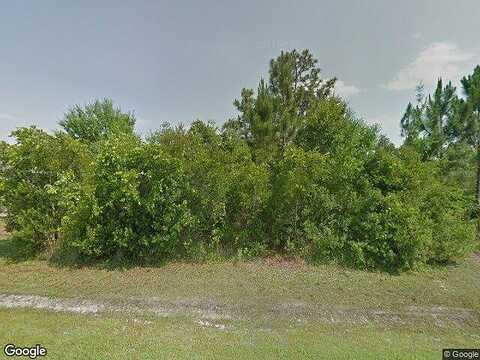 Parrot, KISSIMMEE, FL 34759