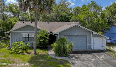 Dundee, WEEKI WACHEE, FL 34613