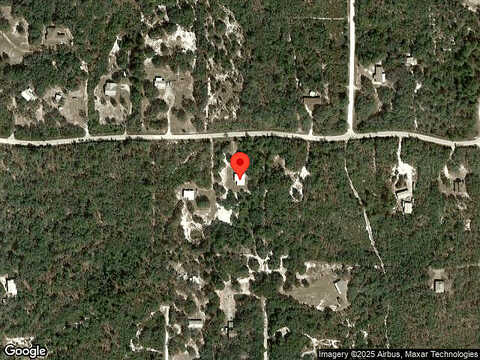 Turkey Oak, FROSTPROOF, FL 33843
