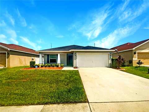 Sandhill Crane, LAKELAND, FL 33811