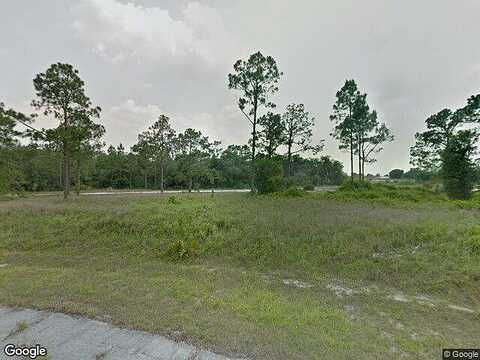 Bowfin, KISSIMMEE, FL 34759