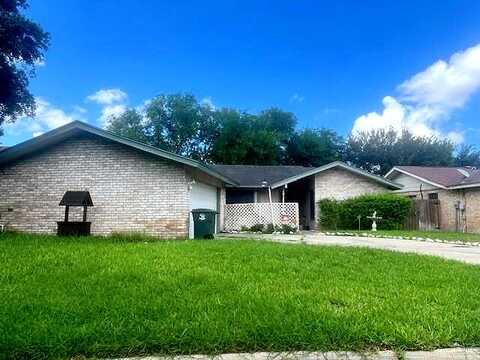 Austrian Pine, HARLINGEN, TX 78550