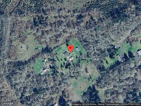 Conifer, TOLEDO, WA 98591