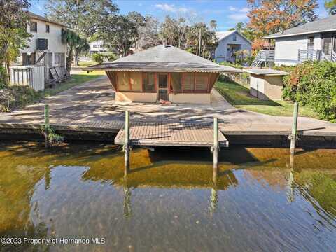 Tropical, WEEKI WACHEE, FL 34607