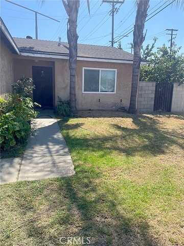 Paddy, BALDWIN PARK, CA 91706