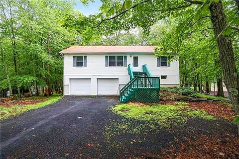 Eagle, BUSHKILL, PA 18324