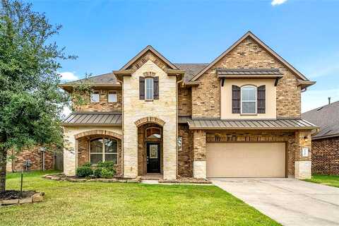 Little Blue Heron, CONROE, TX 77304