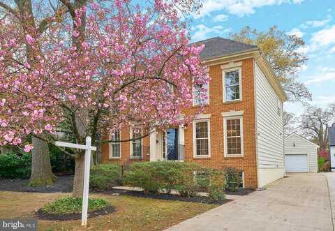 Jackson, ARLINGTON, VA 22201