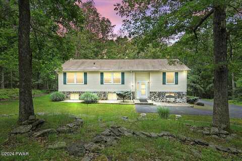 Lilac, MILFORD, PA 18337