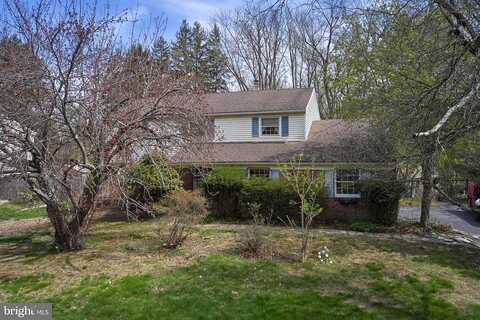 Turk, DOYLESTOWN, PA 18901