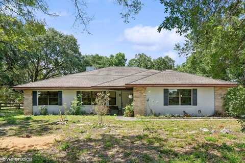 Arabian, MONTVERDE, FL 34756