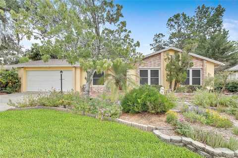 Moran, TAMPA, FL 33618