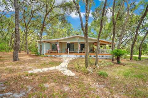Saddleback, SPRING HILL, FL 34610