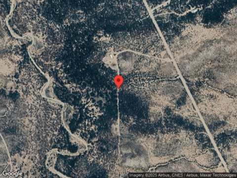 Ringtail, WILLCOX, AZ 85643