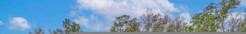 Emory, TALLAHASSEE, FL 32305