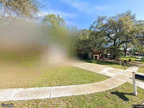 Fernery, SAFETY HARBOR, FL 34695