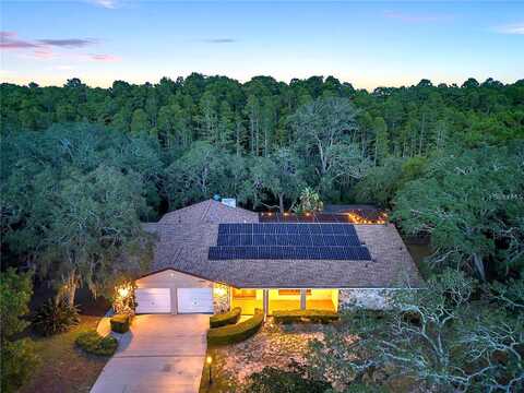 Fancy, HUDSON, FL 34667