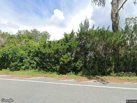 Bougainvillea, LEESBURG, FL 34748