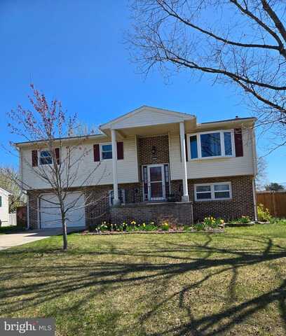 Rachel, CARLISLE, PA 17013