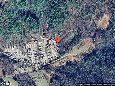 Bear, BLAIRSVILLE, GA 30512