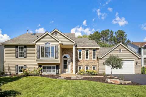 Driftwood, SAINT PAUL, MN 55124