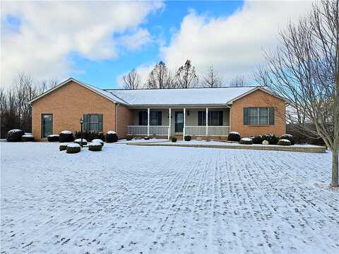 Frieda, SLIPPERY ROCK, PA 16057
