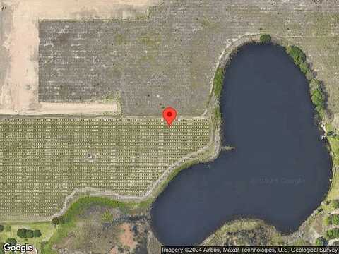 Selenia, LAKE ALFRED, FL 33850