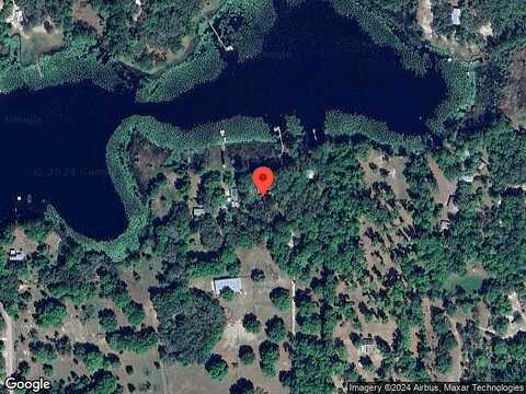 Banana, POMONA PARK, FL 32181