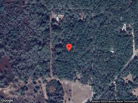 Bay Tree, FLORAHOME, FL 32140