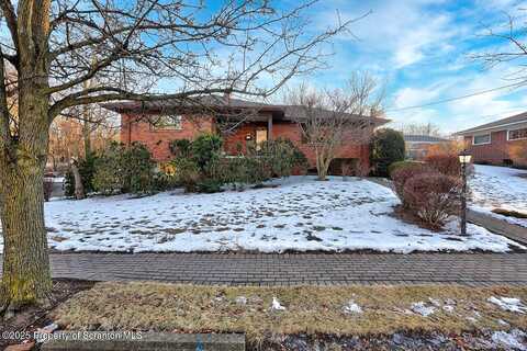 Lilac, SCRANTON, PA 18505