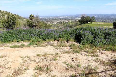 Dapplegray, BELL CANYON, CA 91307