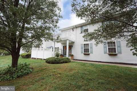 Jakob, SOUTHAMPTON, PA 18966