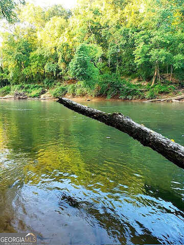 Island Shoals, COVINGTON, GA 30016