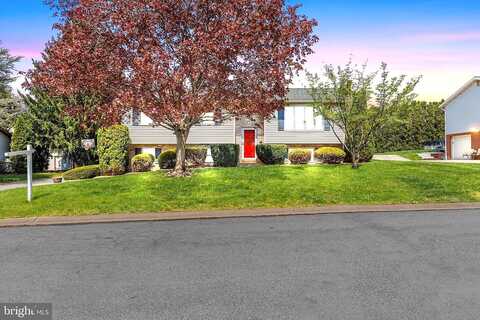 Birch, LEBANON, PA 17046