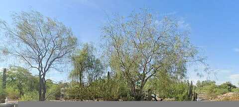 Stanford, PARADISE VALLEY, AZ 85253