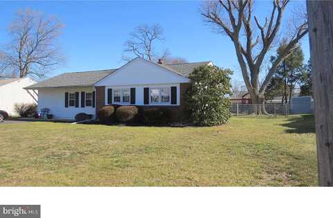 Lacebark, FEASTERVILLE TREVOSE, PA 19053