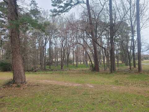 Lot 12 Thornton Street, Trinity, TX 75862