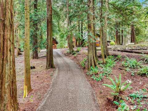 Phelps Road Ne, Bainbridge Island, WA 98110