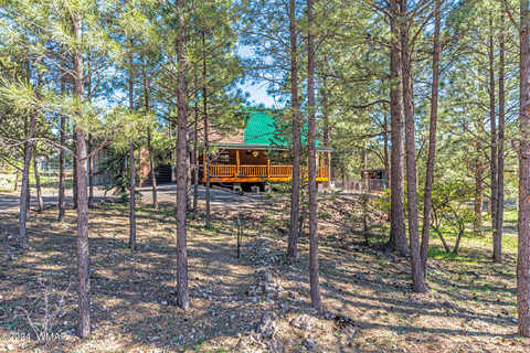 Twin Pines Trail, Overgaard, AZ 85933