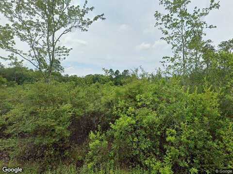 Richard Ln Rd, Milton, FL 32583