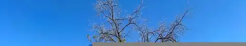 Crestwood, SAN ANGELO, TX 76903