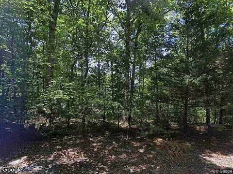 Brush Leaf Ln, Mount Jackson, VA 22847