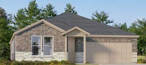 Texas Palmetto Way, Hockley, TX 77447