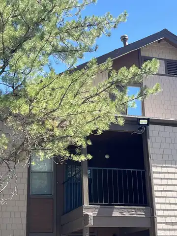 E Peckham Lane, Reno, NV 89502